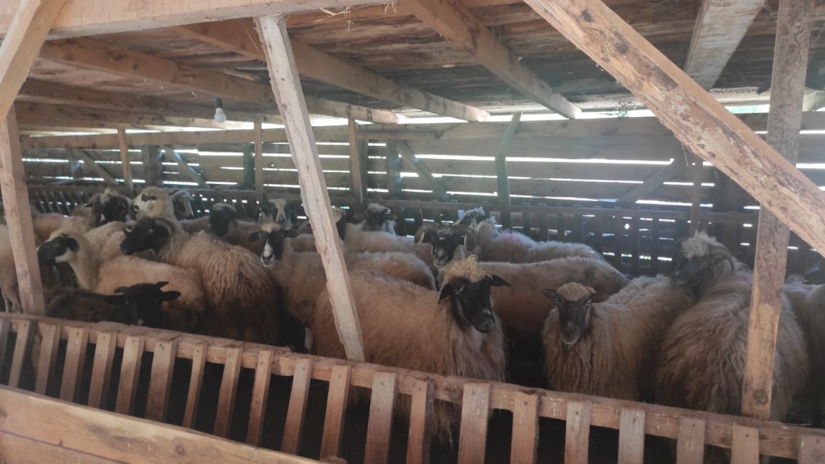 Ibadet “Kurbani 2025.” na području Medžlisa Jajce